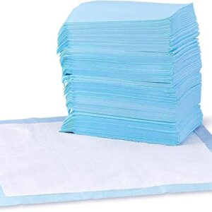Dog and Puppy Pads, Leak-Proof 5-Layer Pee Pads with Quick-Dry Surface for Potty Training, Regular (22 x 22 Inches) - Pack of 100
