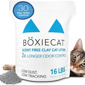 Boxie® Unscented 30 Day Odor Control Clumping Clay Cat & Kitty Litter 16 lb, 99.9% Dust-Free, Hard Flat Top® Clumps, No Fragrances No Fillers, Long-Lasting, Easy to Scoop